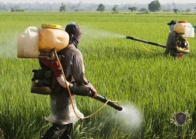 Adolescente  indenizada em R$ 19,8 mil por exposio a agrotxicos