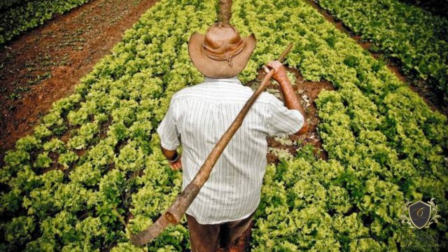 Agricultor com viso monocular tem direito a receber benefcio assistencial