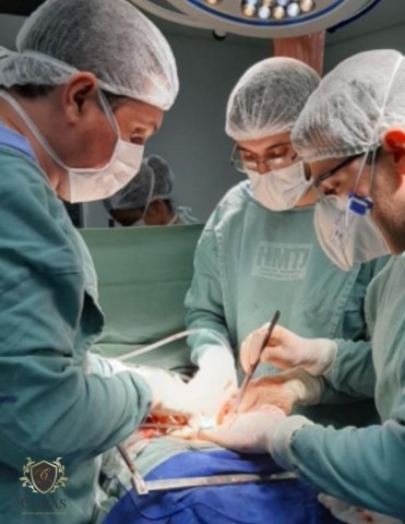 Justia garante indenizao a paciente por perda de rim causada por demora para cirurgia