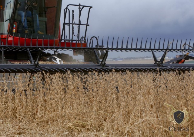 Produtor rural garante direito de recebimento do seguro agrcola indeferido pelo Bacen