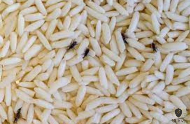 STJ define que corpo estranho em alimento gera dano moral mesmo sem ingesto