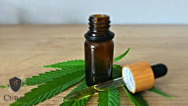 SUS deve fornecer medicamento  base de canabidiol para criana autista que sofre de epilepsia