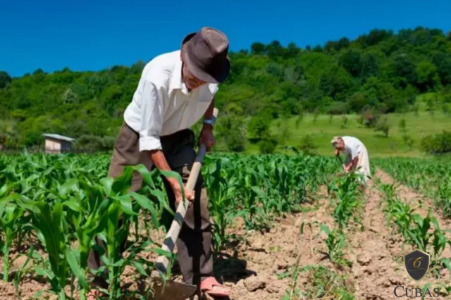 Trabalhador rural com viso monocular garante na justia o direito a aposentadoria rural