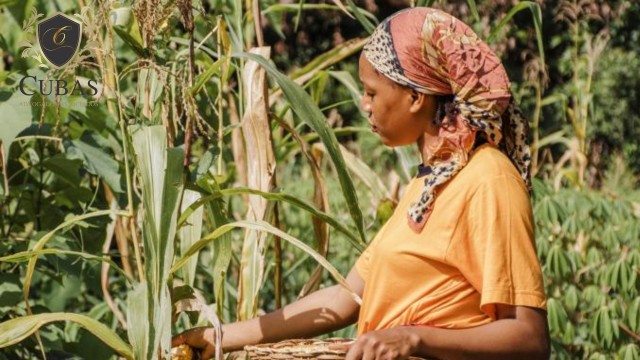 Trabalhadora rural em regime de economia familiar tem reconhecido direito