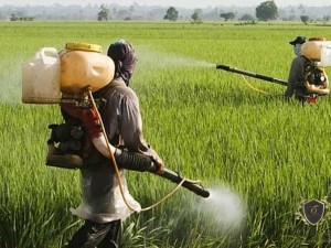 Adolescente  indenizada em R$ 19,8 mil por exposio a agrotxicos