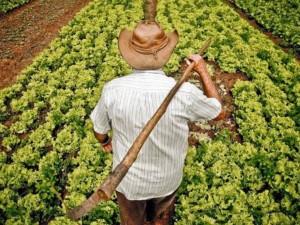Agricultor com viso monocular tem direito a receber benefcio assistencial