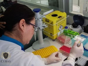 Justia declara paternidade de homem que se recusou a realizar exame de DNA