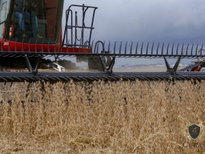 Produtor rural garante direito de recebimento do seguro agrcola indeferido pelo Bacen
