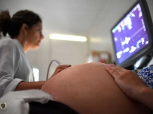 STF nega autorizao de aborto a grvida de gmeos siameses