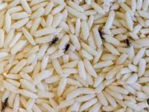 STJ define que corpo estranho em alimento gera dano moral mesmo sem ingesto
