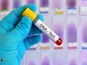 TJSC  Resultado negativo de DNA no isenta homem de continuar a pagar penso alimentcia