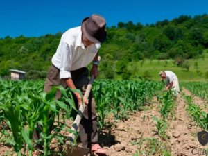 Trabalhador rural com viso monocular garante na justia o direito a aposentadoria rural