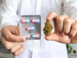 Unio deve custear canabidiol a criana com doena rara e epilepsia refratria