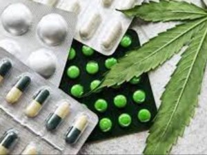 Unio deve fornecer medicamento  base de Canabidiol para jovem que sofre com epilepsia